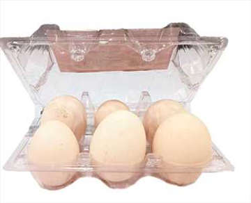 Picture of DESI EGGS 6 PC